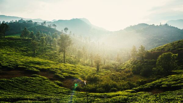 What Is Terraforming? How Science Fiction Can Inform Terraforming